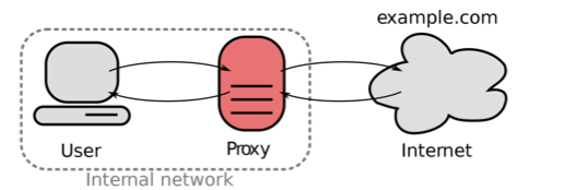 Forward proxy cache