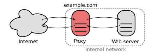 Reverse proxy cache (SVG file)