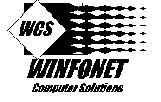 [winfonet logo]