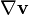 \nabla \mathbf{v}