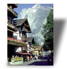 Mountain view