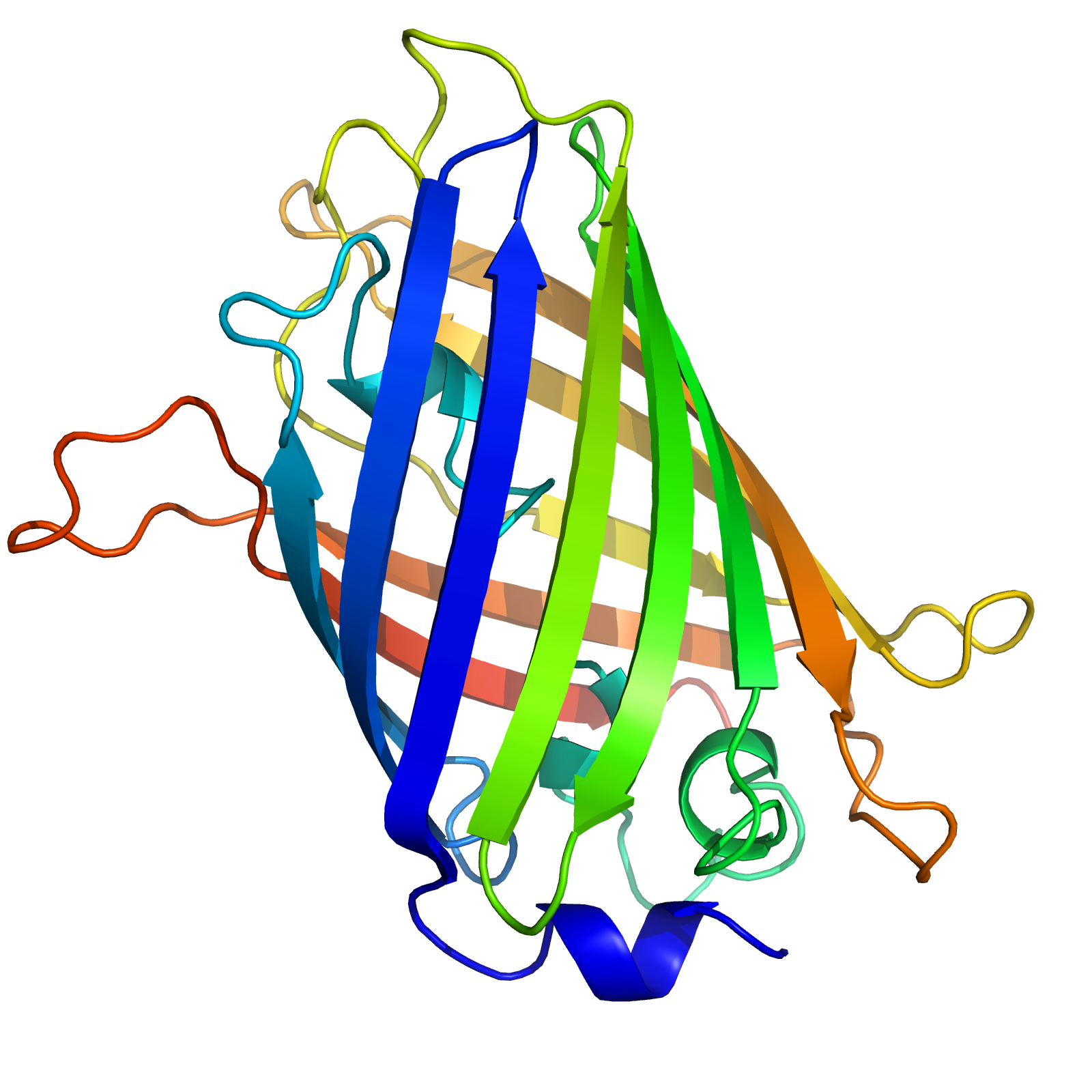 protein structure