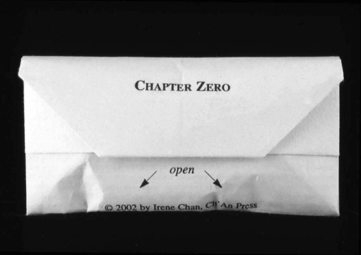 Chapter Zero